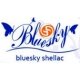 Гель-краски BLUESKY в интернет-магазине -«Haилмacтepy» 